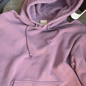 Aritzia Purple Hoodie